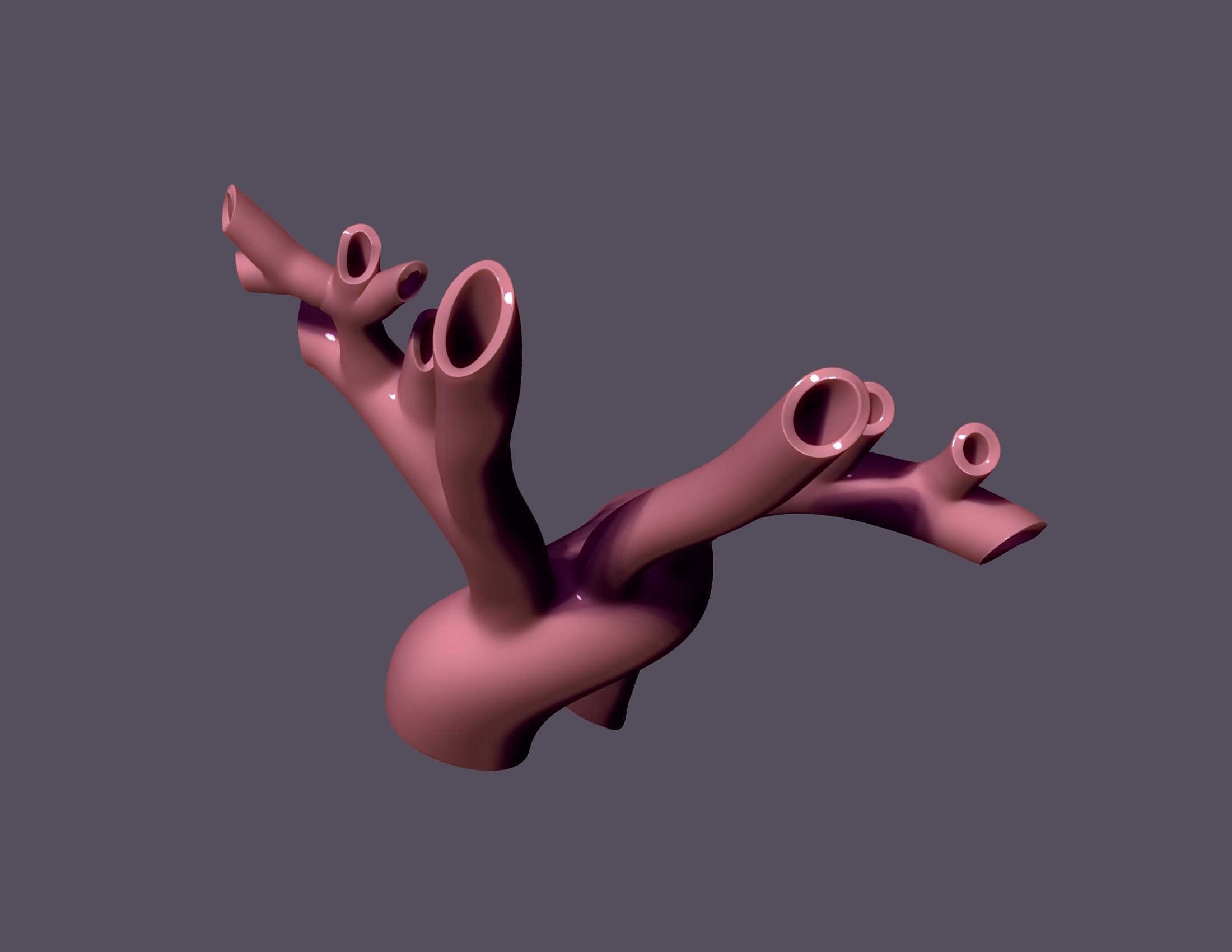 human aorta 3D print model_8