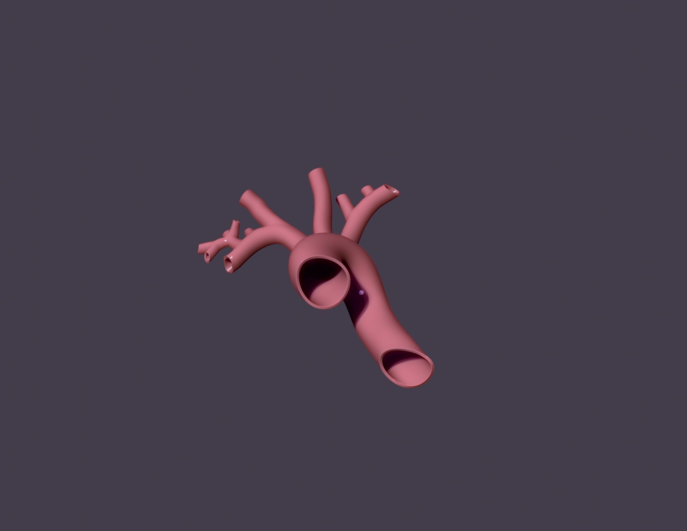 human aorta 3D print model_6