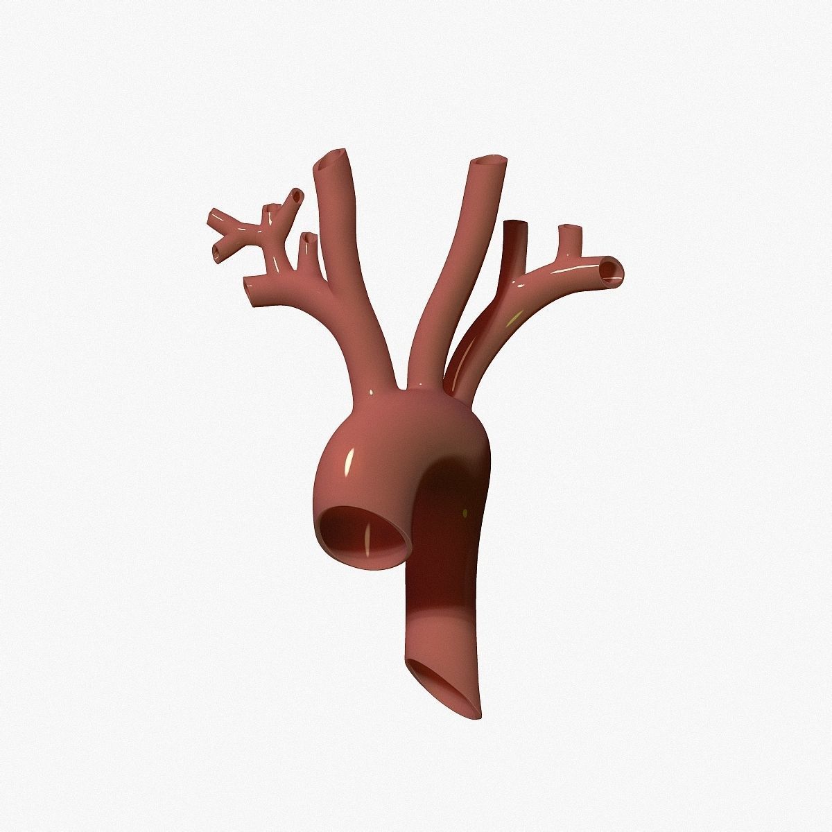 human aorta 3D print model_10