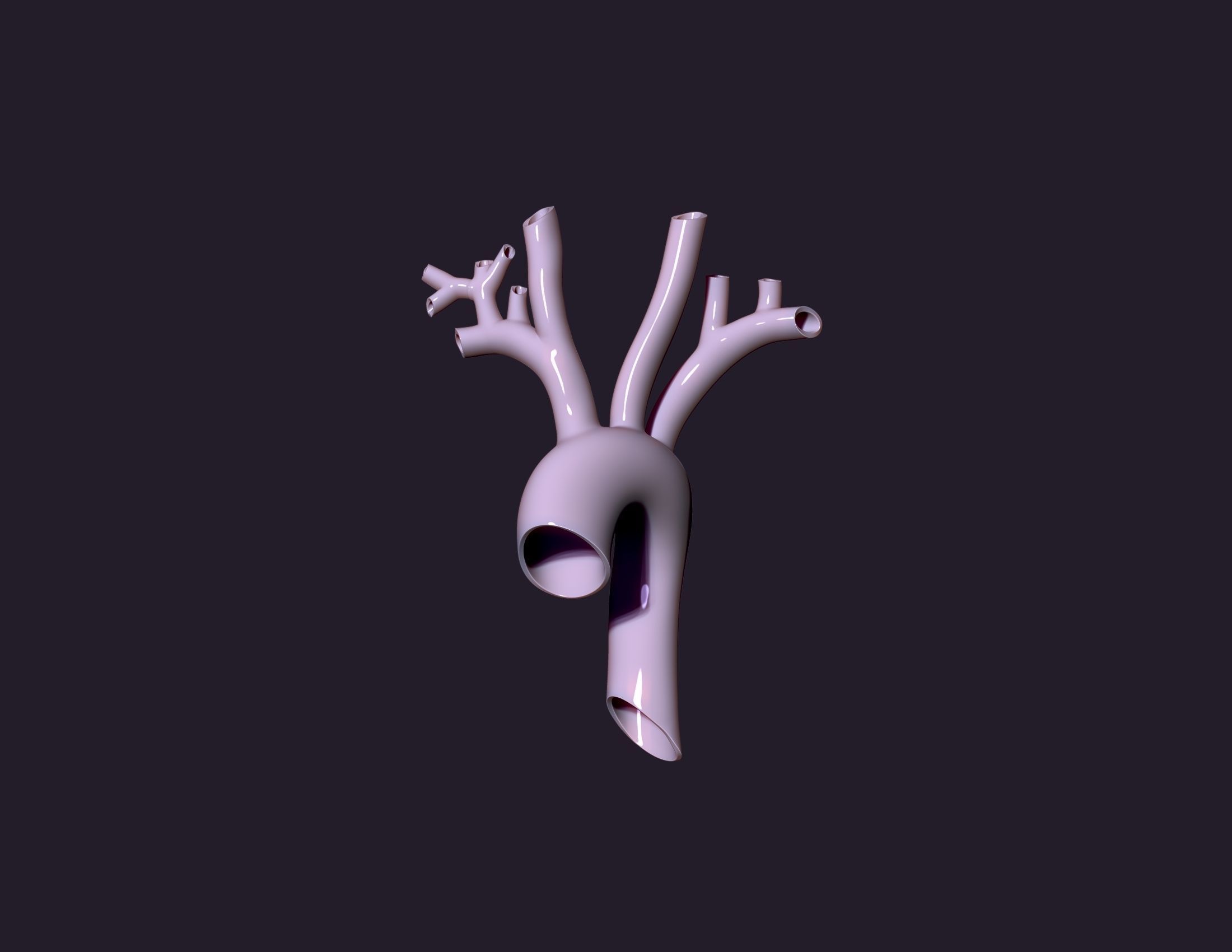human aorta 3D print model_9
