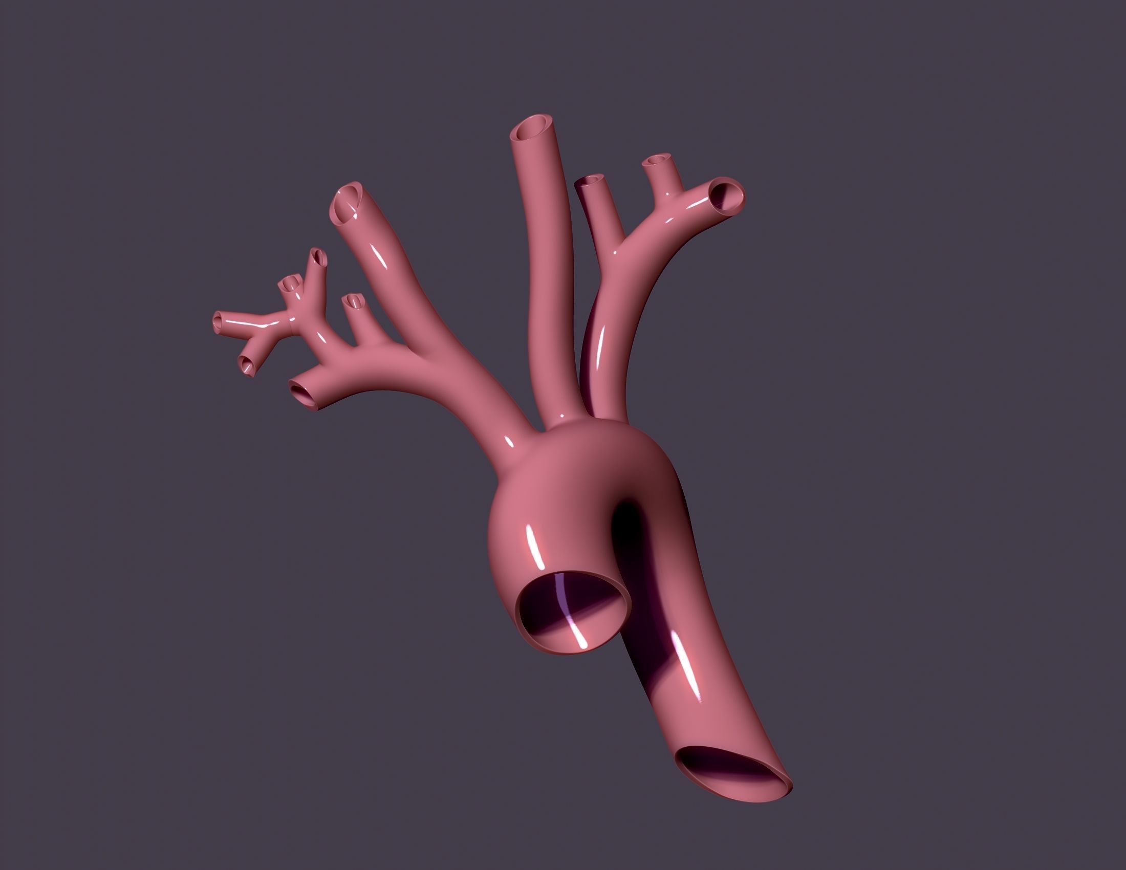human aorta 3D print model_3