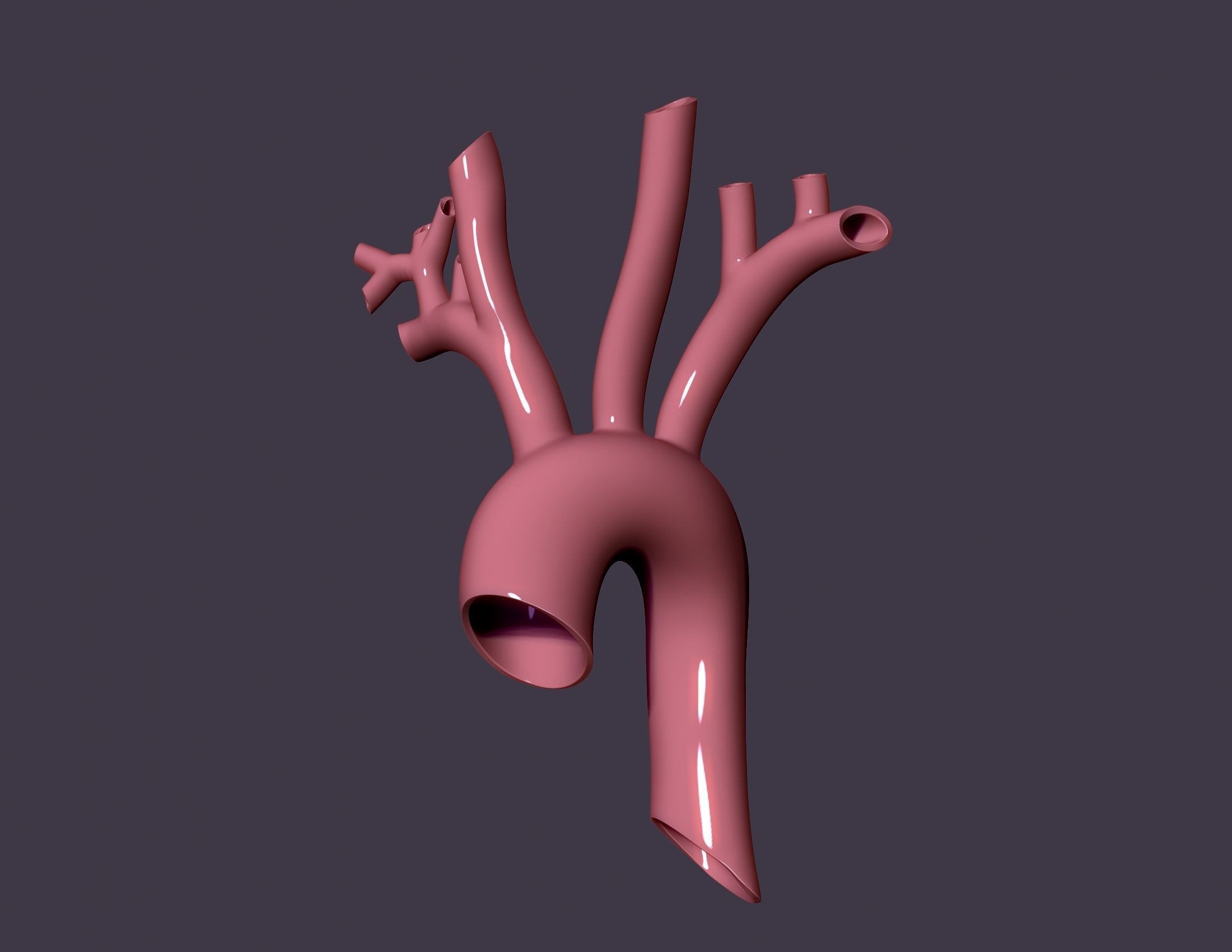 human aorta 3D print model_7