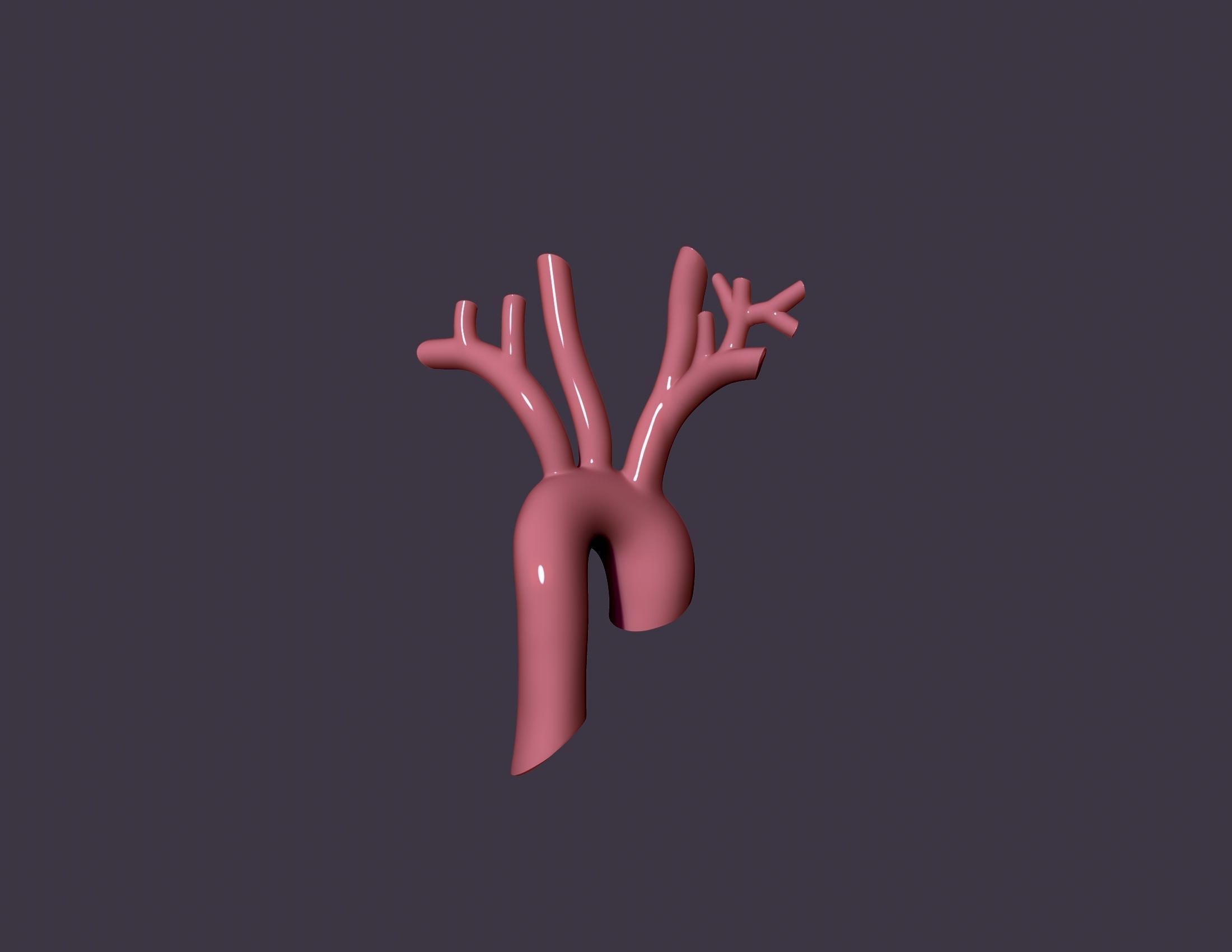 human aorta 3D print model_5