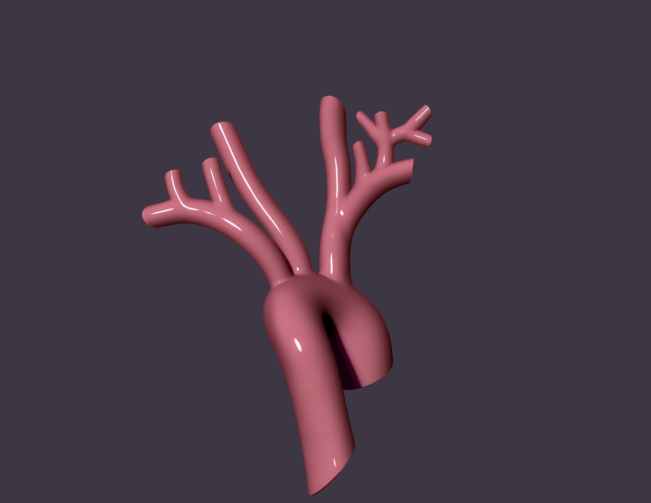 human aorta 3D print model_2