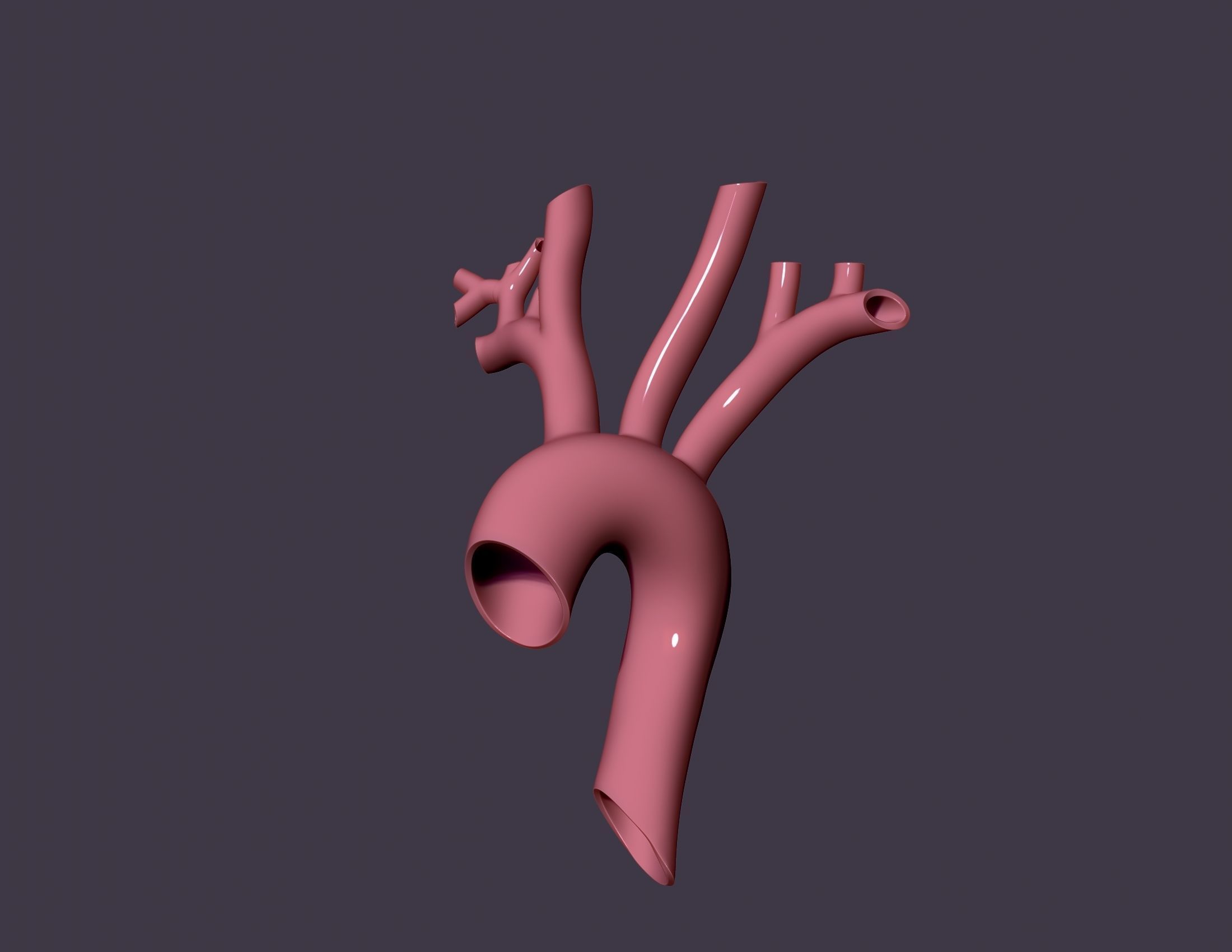 human aorta 3D print model_4