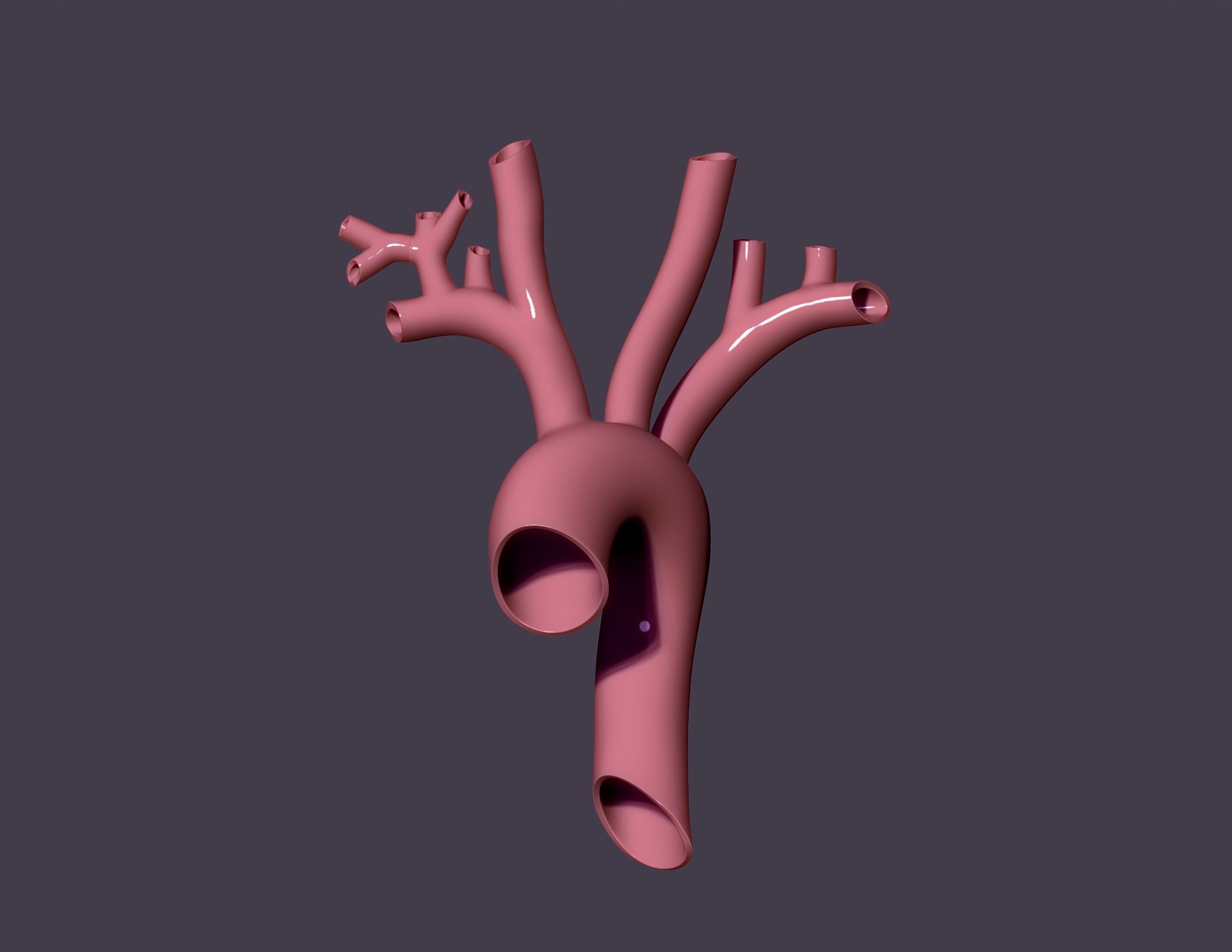 human aorta 3D print model_1