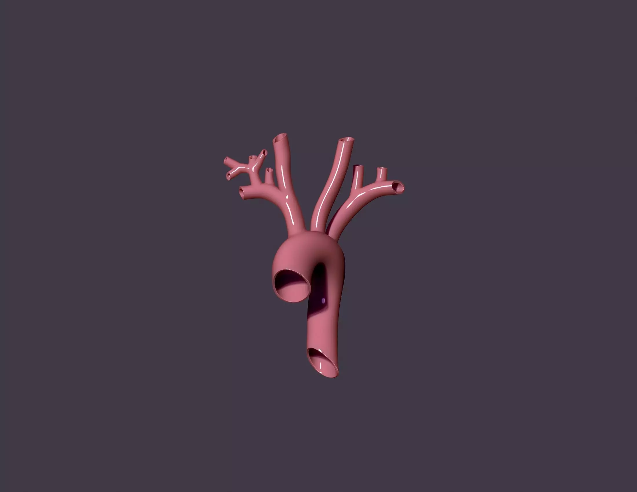 human aorta 3D print model_0