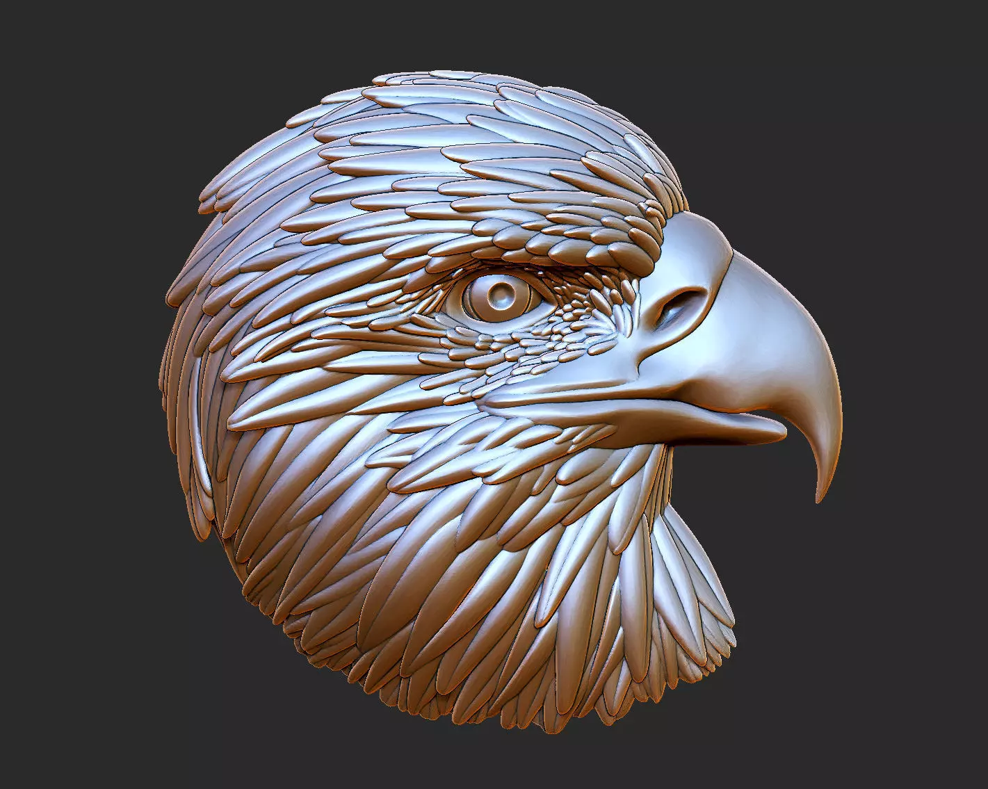 Eagle head sculpting 3D print model_0