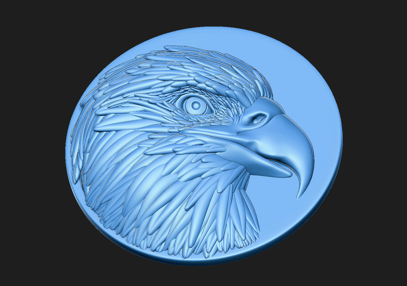 Eagle head sculpting 3D print model_1