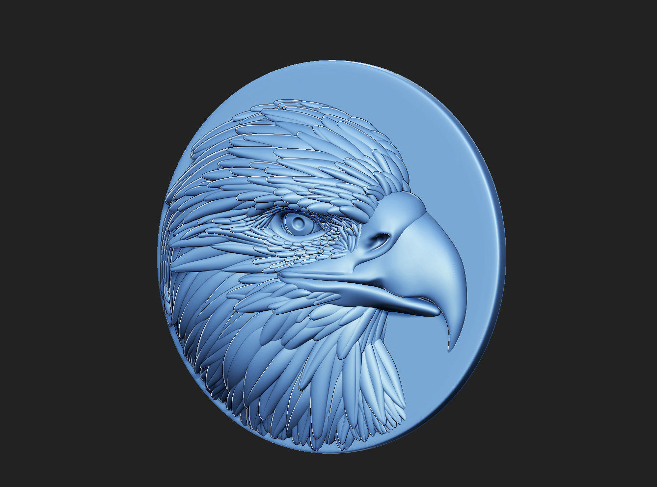 Eagle head sculpting 3D print model_3