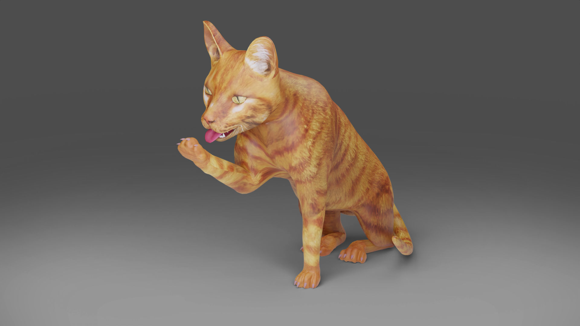 Cat Yellow V3 Rigged Low-poly 3D model_2