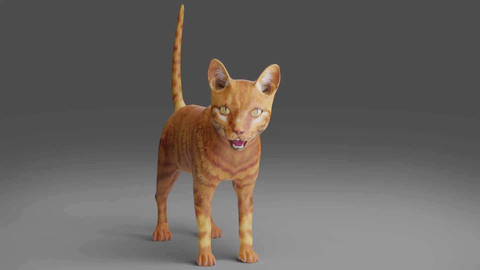 Cat Yellow V3 Rigged Low-poly 3D model_0