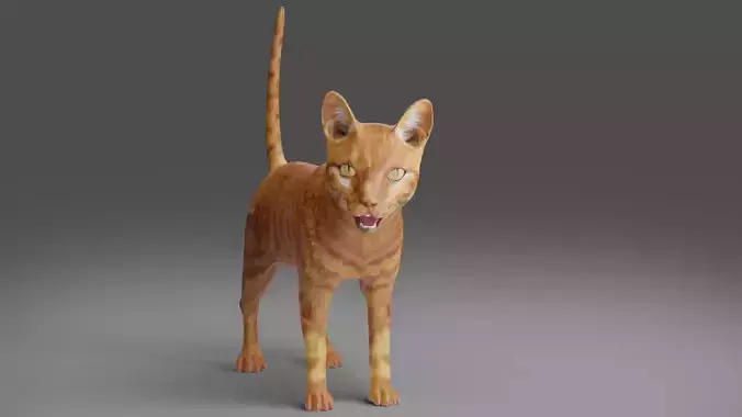 Cat Yellow V3 Rigged