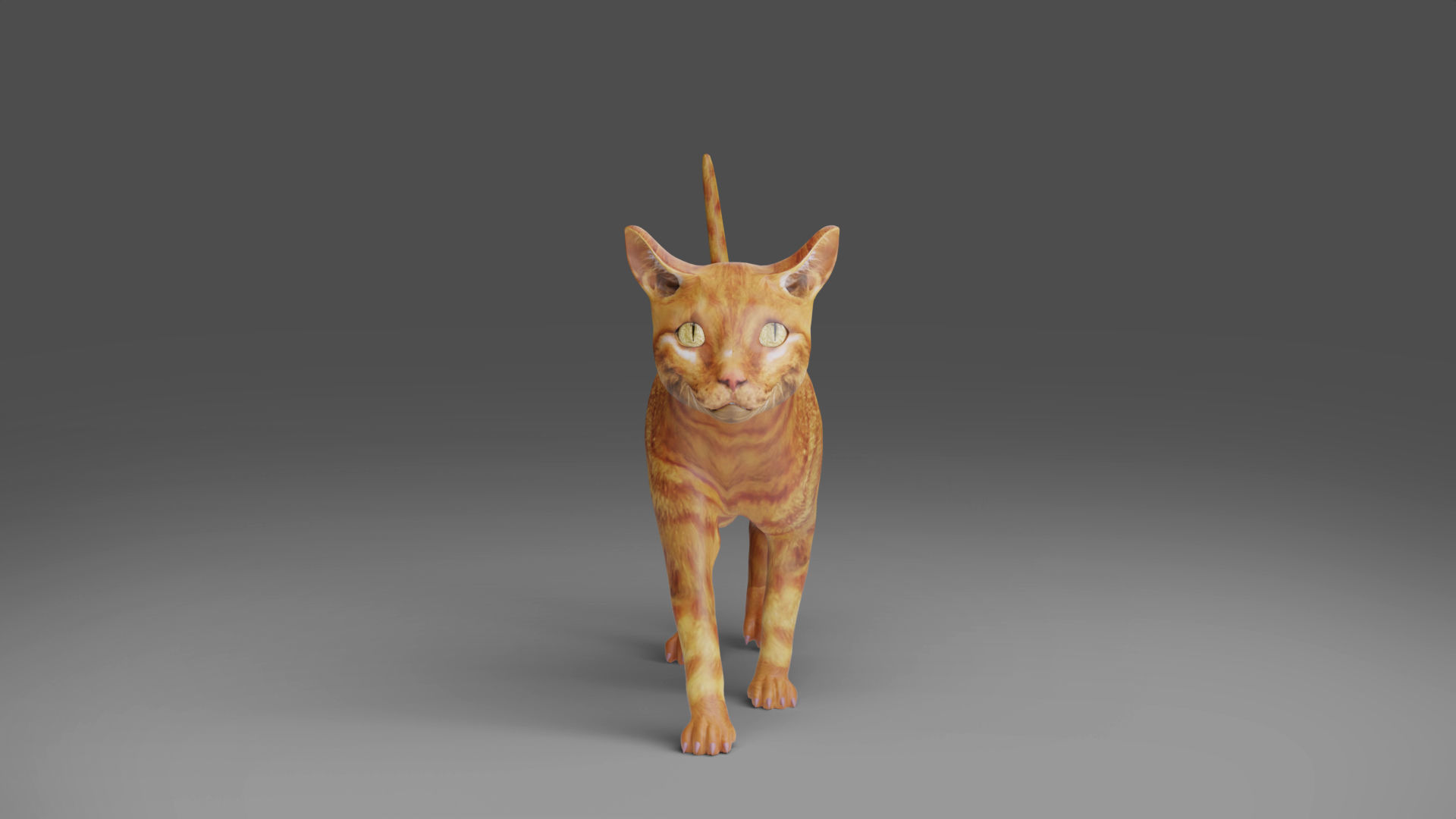 Cat Yellow V3 Rigged Low-poly 3D model_7