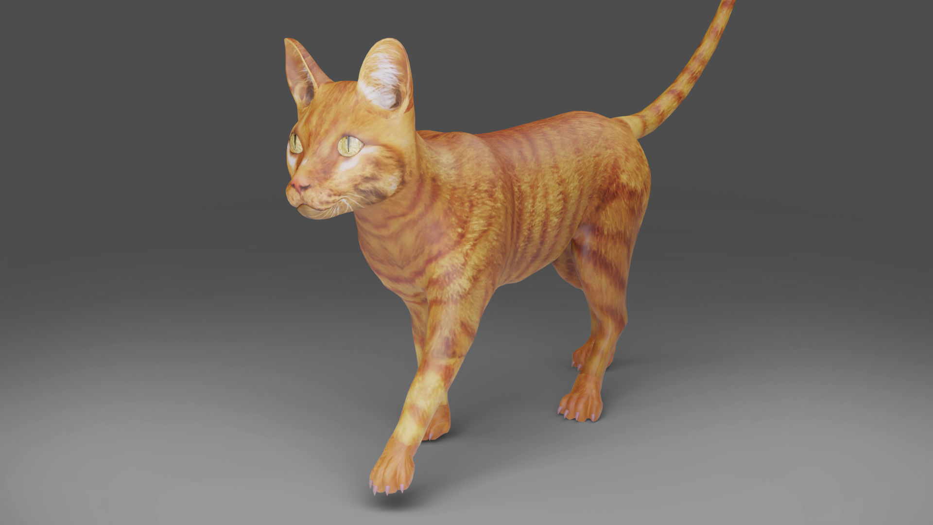 Cat Yellow V3 Rigged Low-poly 3D model_3