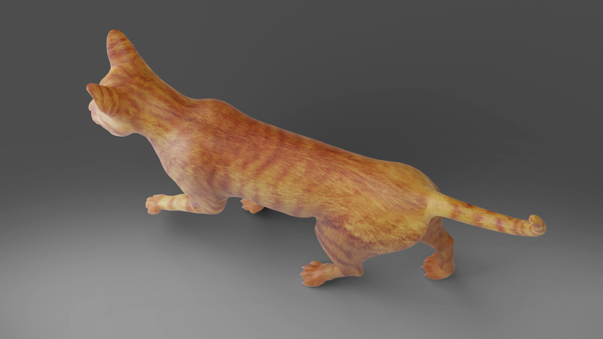 Cat Yellow V3 Rigged Low-poly 3D model_4