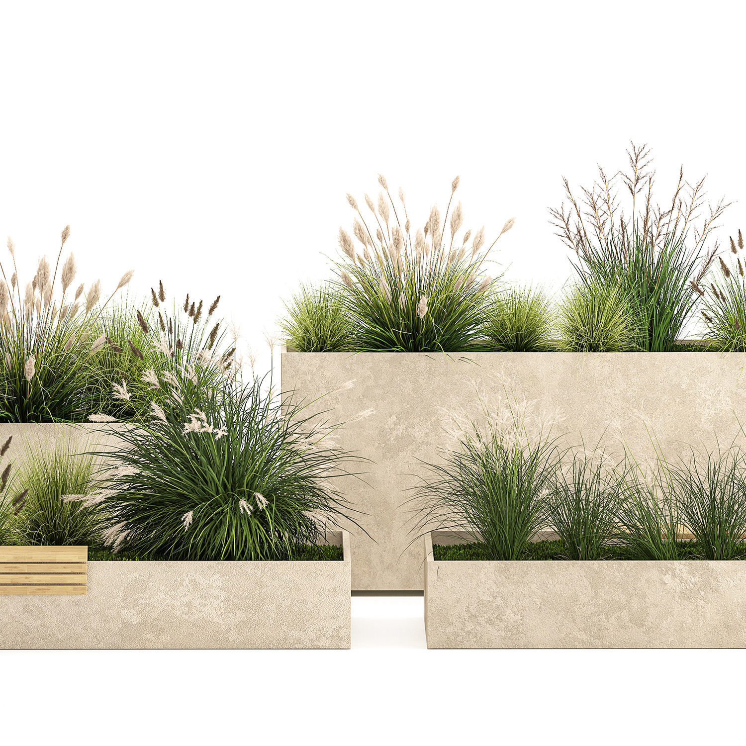 Bushes For Landscaping And Urban Environments 1141 3D model_5