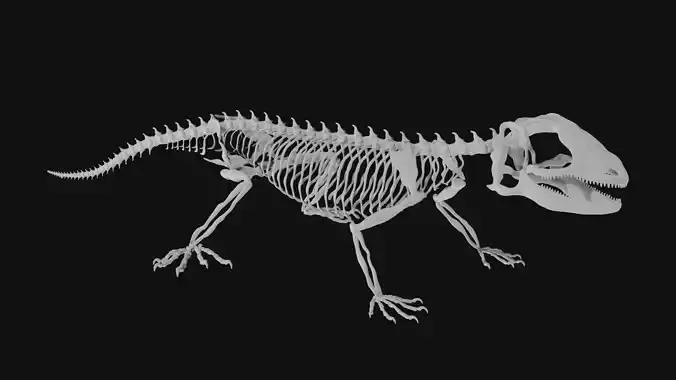 Lizard skeleton 3D model