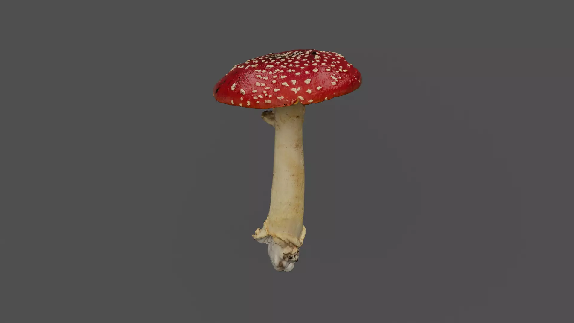 Red Mushroom Photoscan Low-poly 3D model