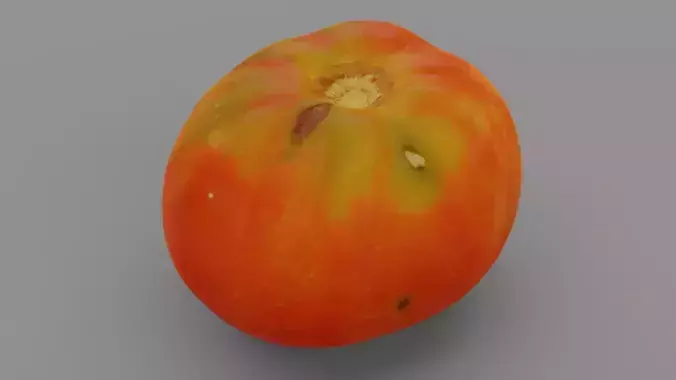 Tomato 06