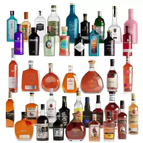 Bottles 40 Bottles Gins Rum Congac Low-poly 3D model