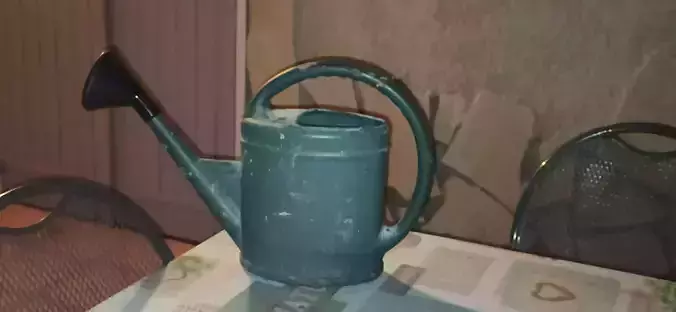 Wateringcan watering can