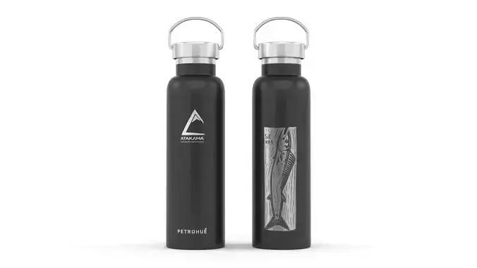 Water Bottle 3D model