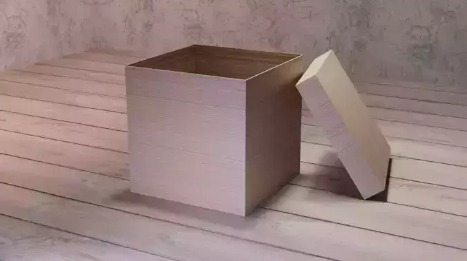 Cardboard box with lid