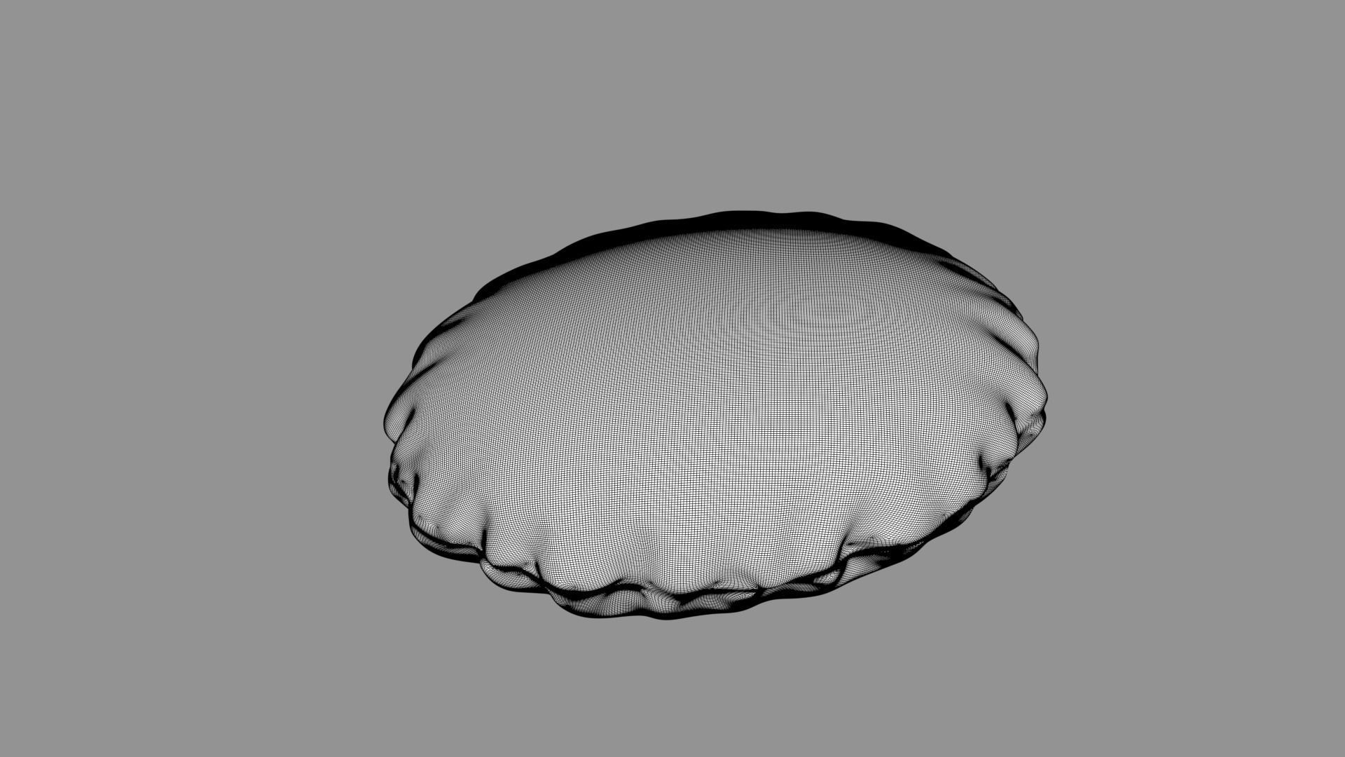 Round Cushion Pillow 3D model_4