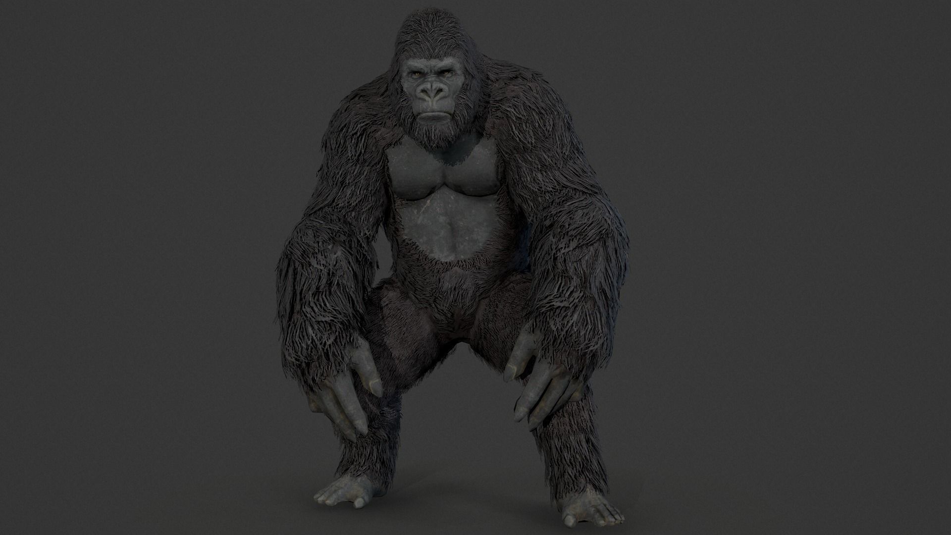 gorilla ape orangutan 3D model_2