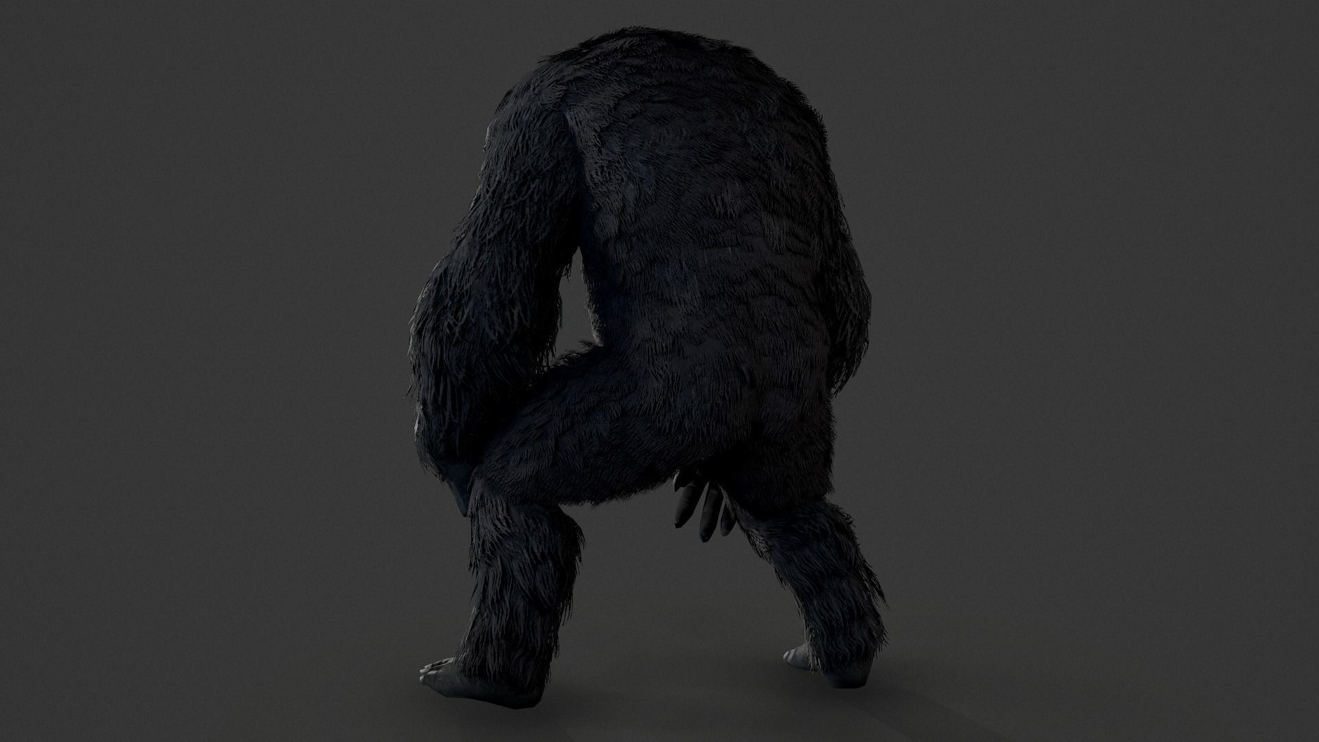 gorilla ape orangutan 3D model_6