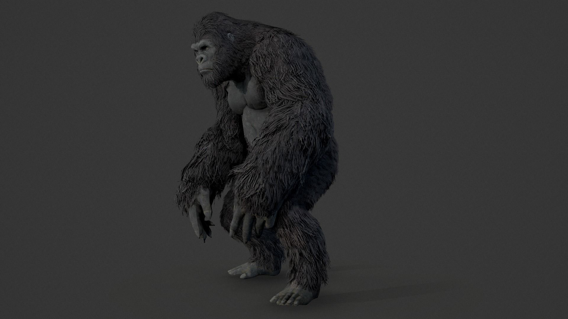 gorilla ape orangutan 3D model_7
