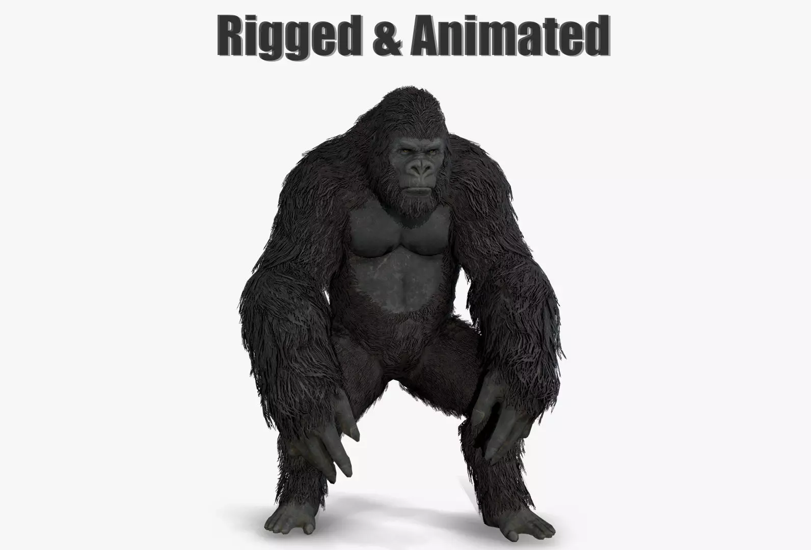 gorilla ape orangutan 3D model_0