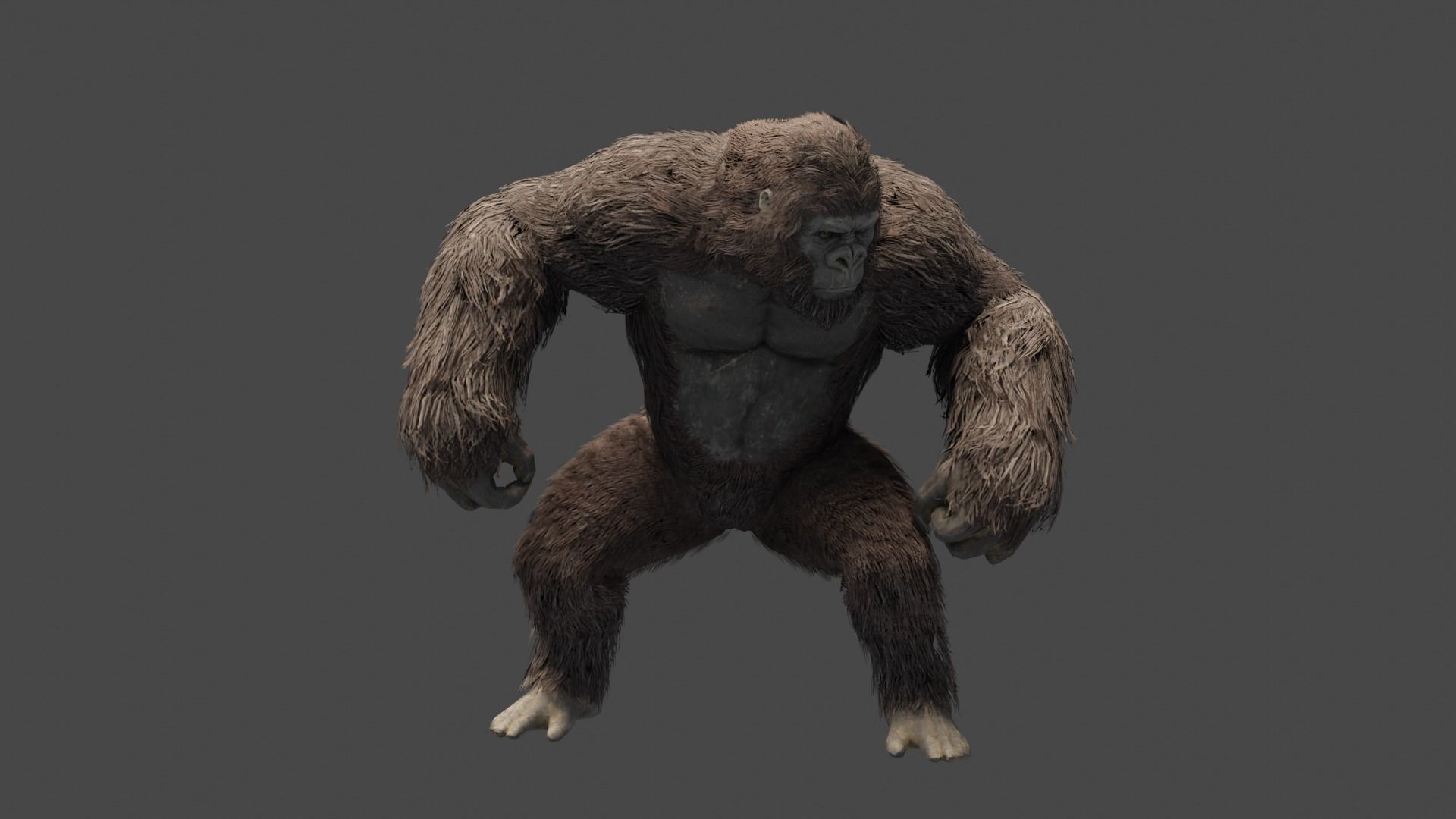 gorilla ape orangutan 3D model_5