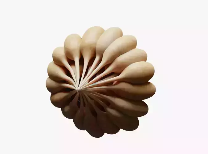 Mammary Gland Anatomy Low-poly 3D model