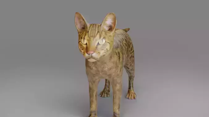 Cat Grey NO Rigged in Blender 