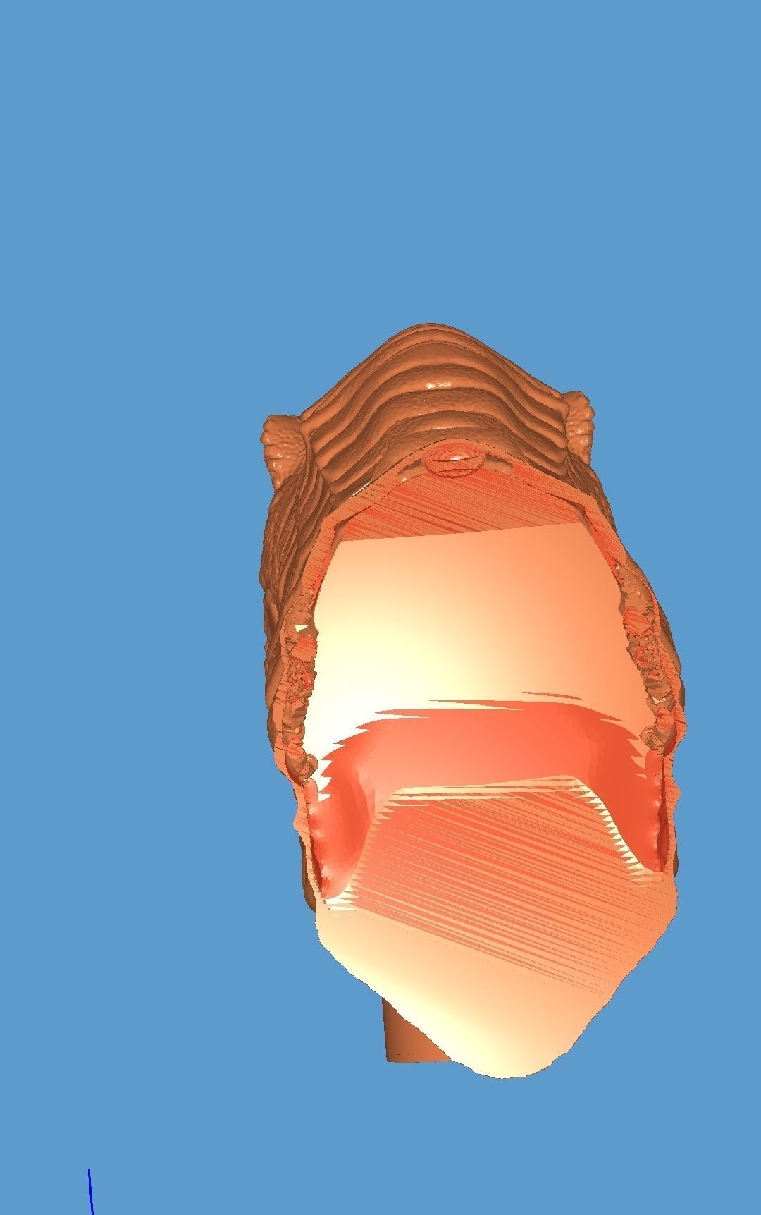 Dinosaur trex head 3D model_2