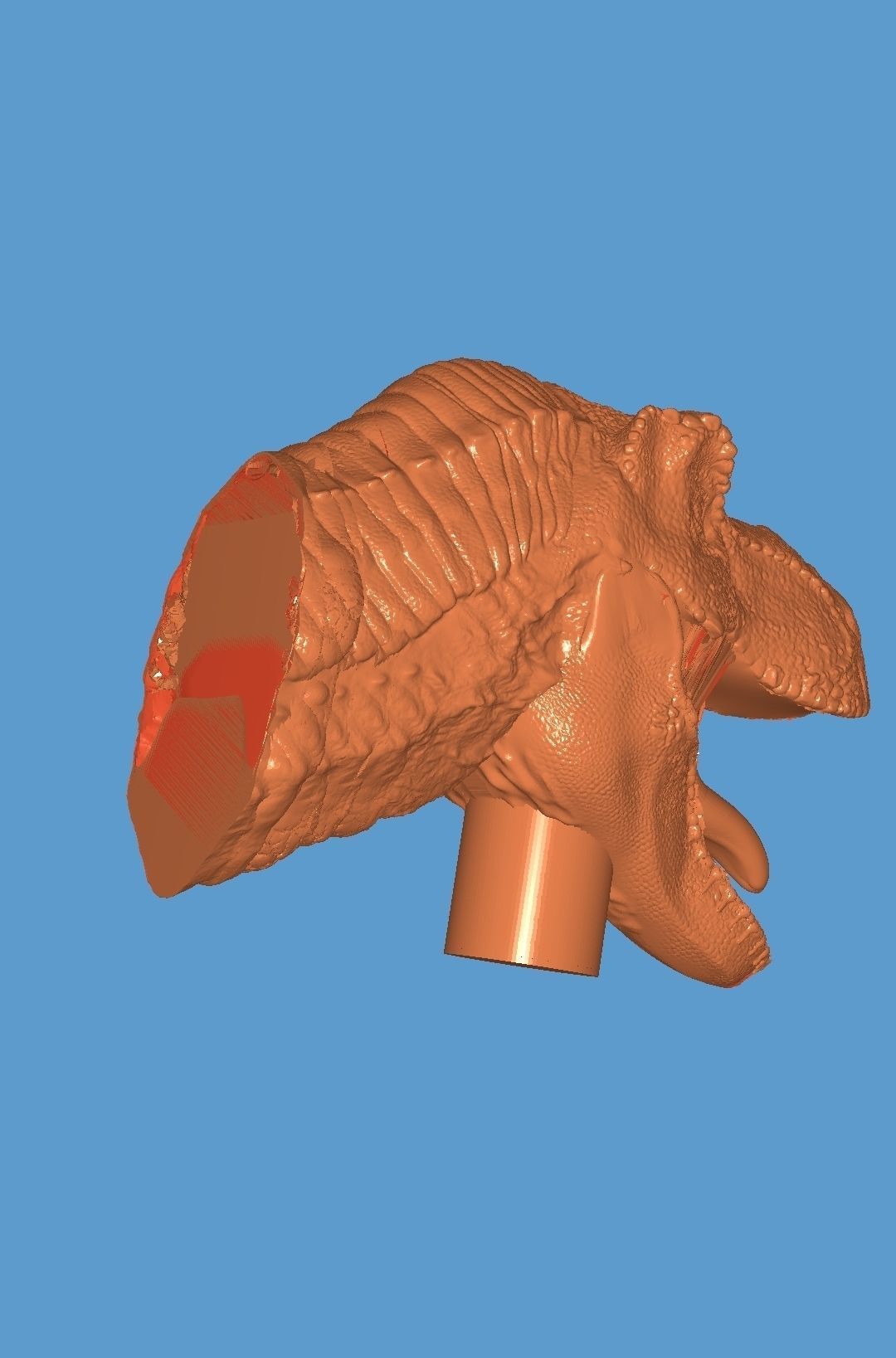 Dinosaur trex head 3D model_6