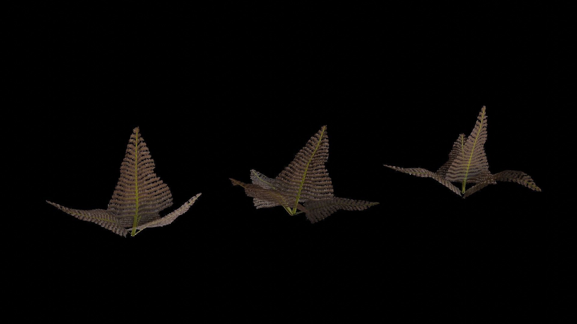 Cave Plants - Vines Roots Ferns Mushrooms 28 Pieces Low-poly 3D model_2