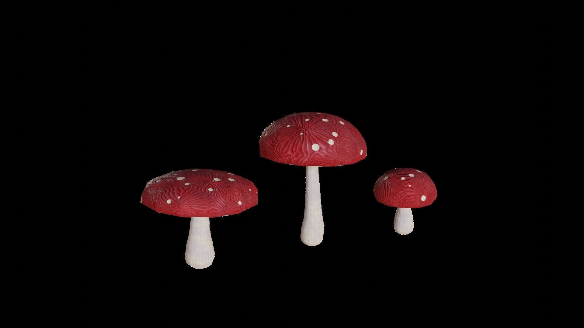 Cave Plants - Vines Roots Ferns Mushrooms 28 Pieces Low-poly 3D model_6