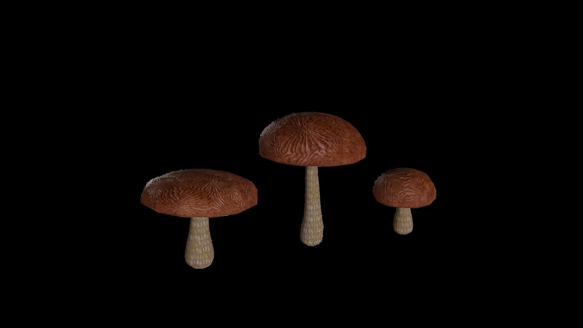 Cave Plants - Vines Roots Ferns Mushrooms 28 Pieces Low-poly 3D model_5