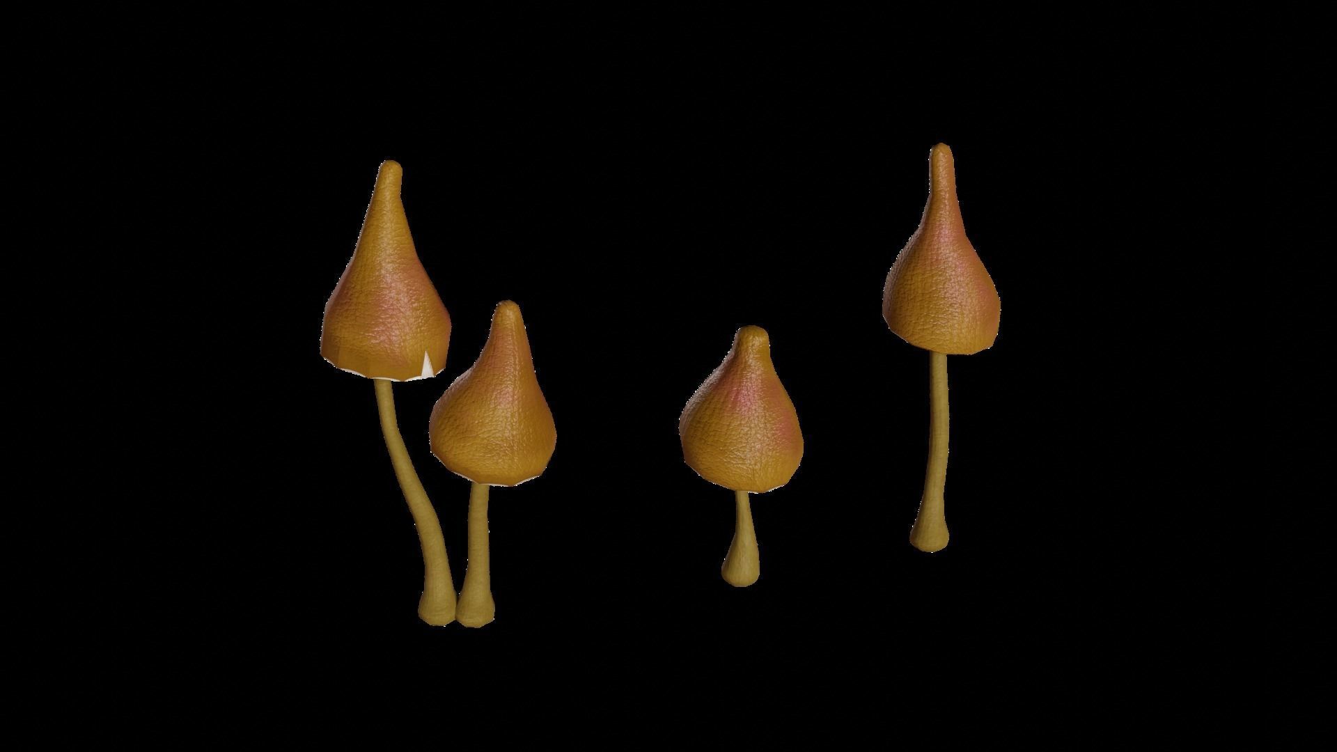 Cave Plants - Vines Roots Ferns Mushrooms 28 Pieces Low-poly 3D model_8