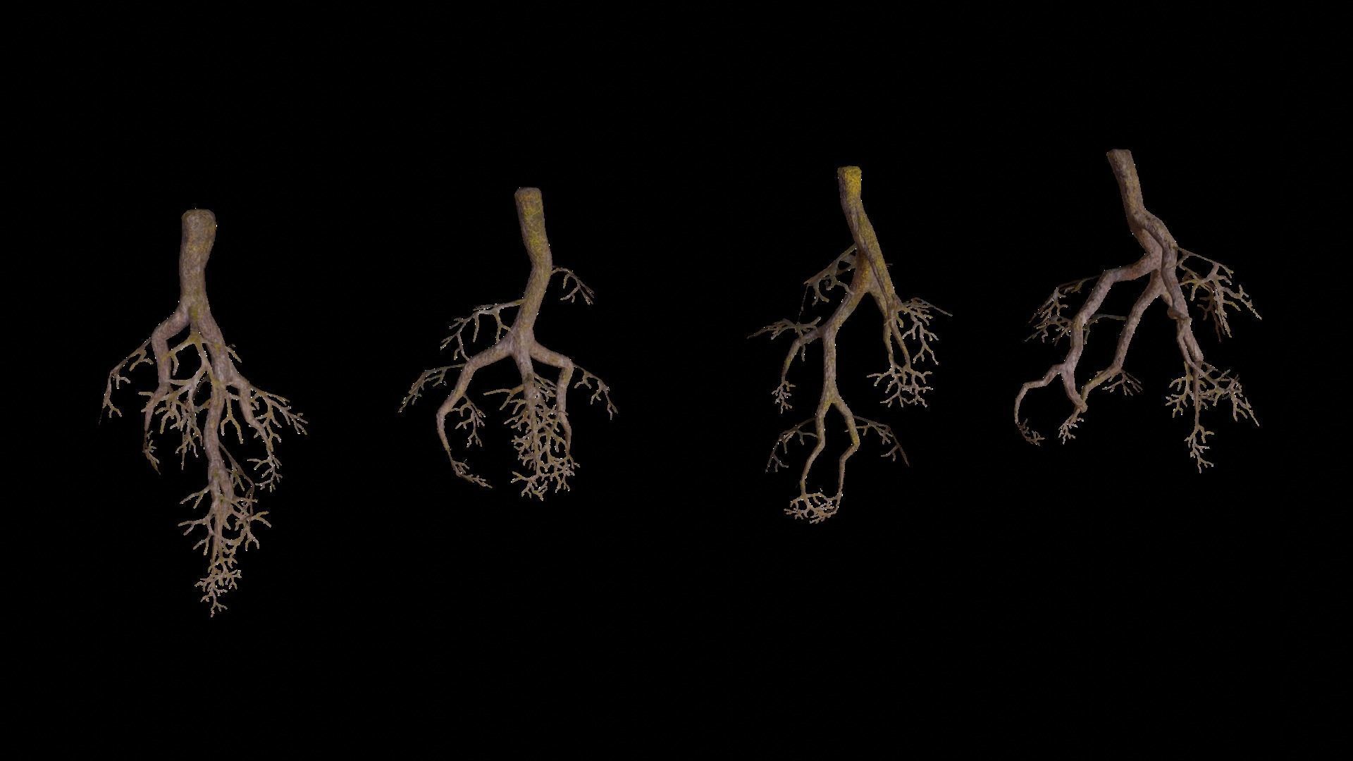 Cave Plants - Vines Roots Ferns Mushrooms 28 Pieces Low-poly 3D model_3