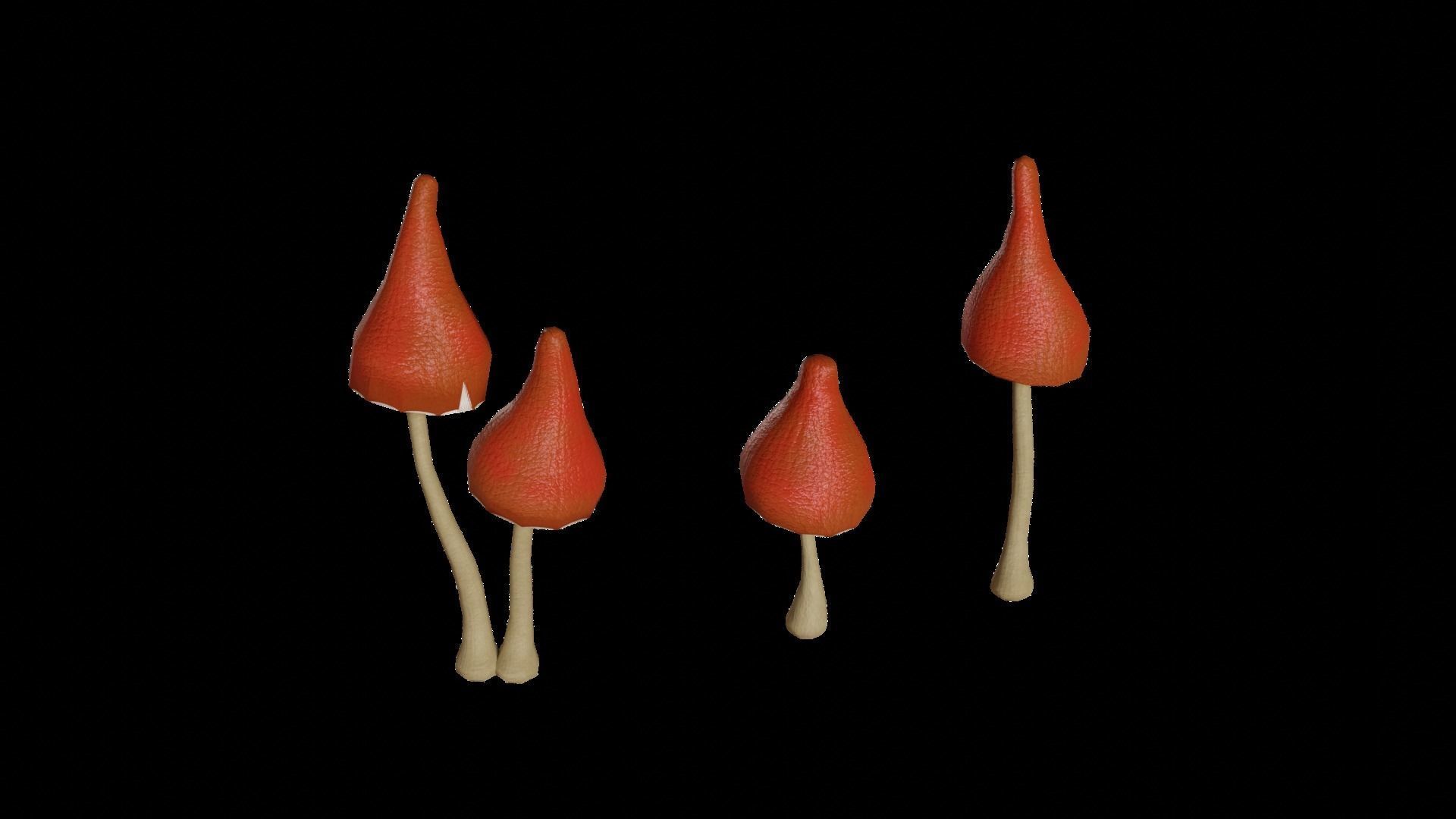 Cave Plants - Vines Roots Ferns Mushrooms 28 Pieces Low-poly 3D model_7