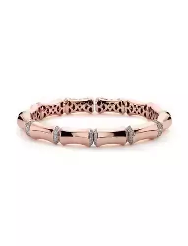 unique Diamond bangle jewelry form woman