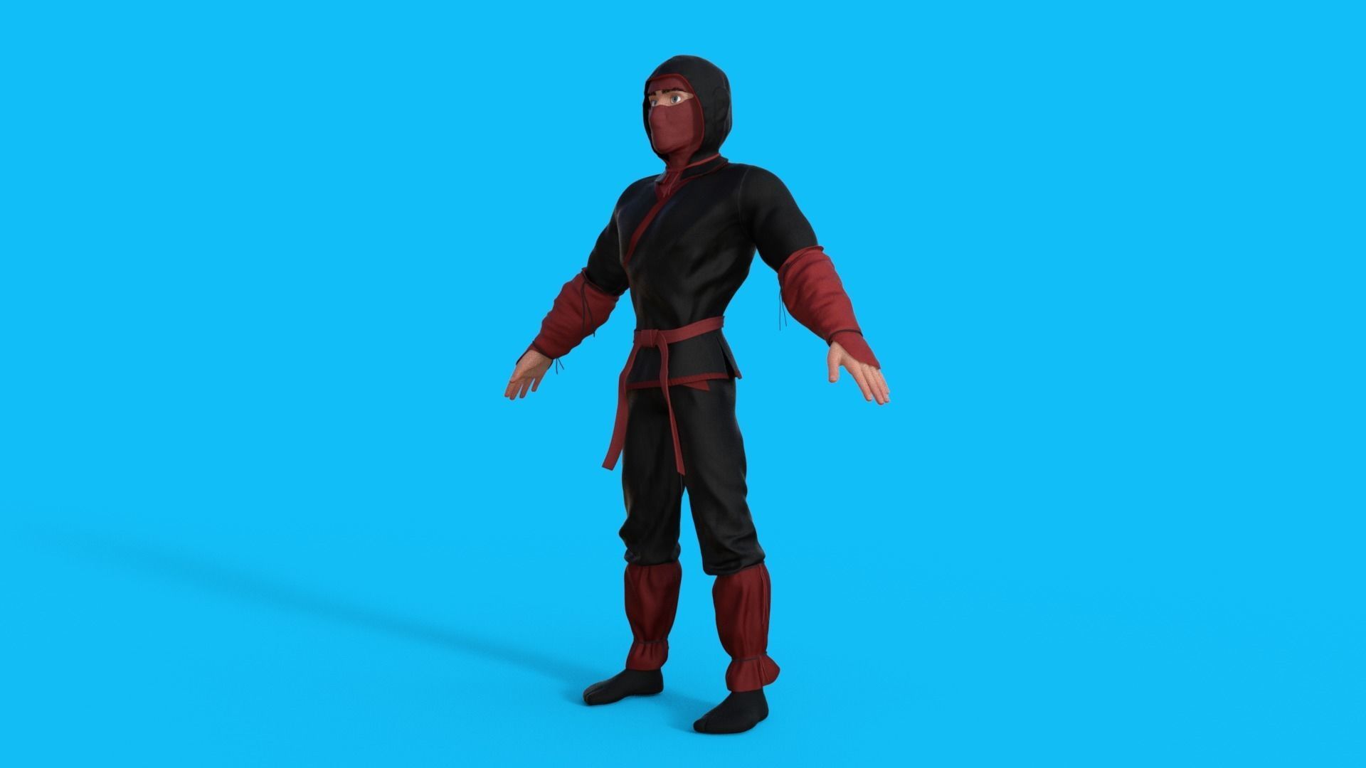 Ninja Character Rigged 3D model_27