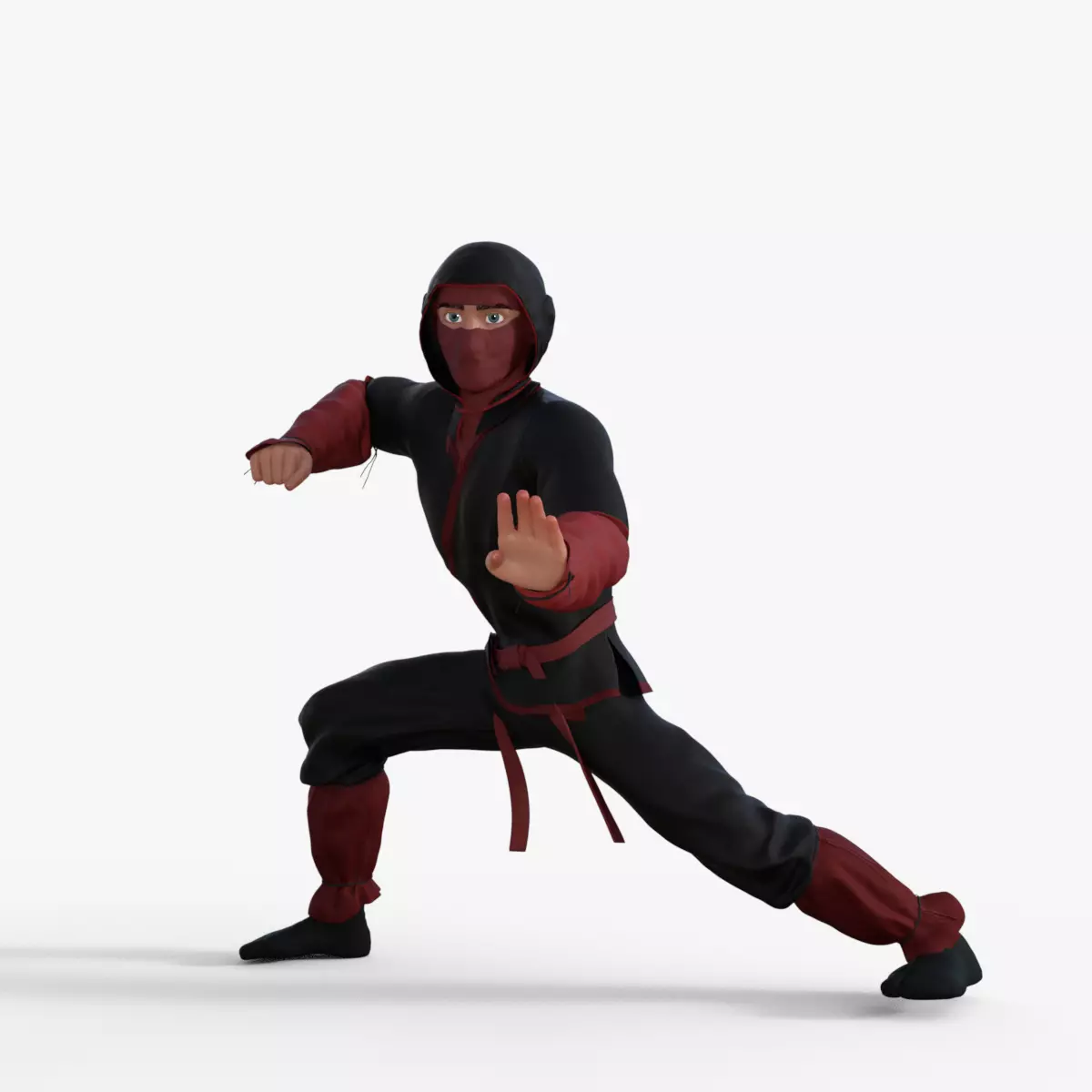 Ninja Character Rigged 3D model_0