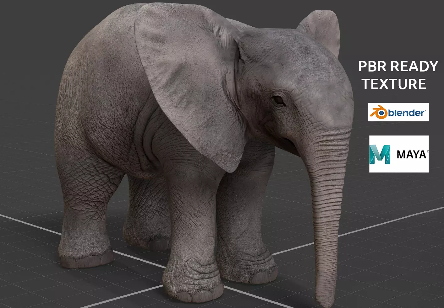 baby Elephant 3D model