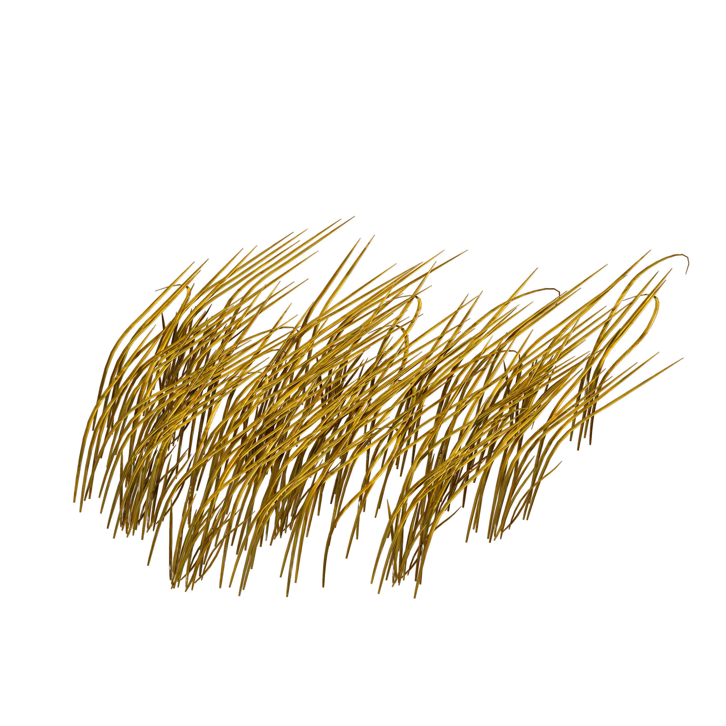 Grass in the water Water chirp Water grass 3D model_3