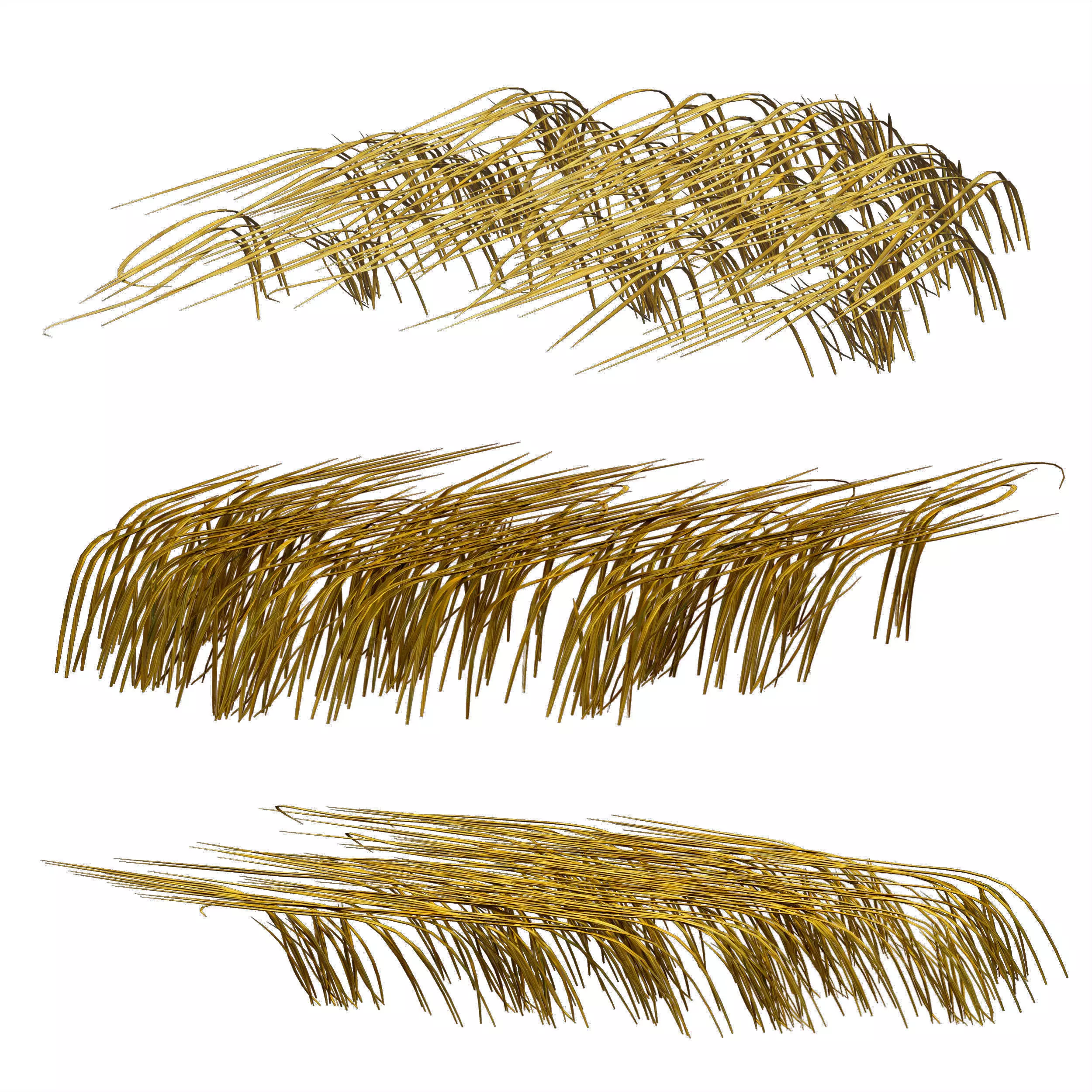 Grass in the water Water chirp Water grass 3D model_0